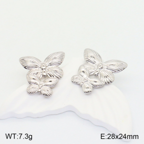 2E2004274aaio-475  Stainless Steel Earrings