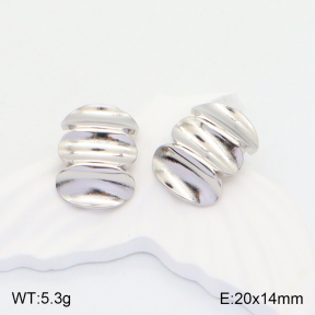 2E2004276aaio-475  Stainless Steel Earrings