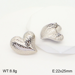 2E2004282aaio-475  Stainless Steel Earrings