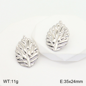 2E2004284aaio-475  Stainless Steel Earrings