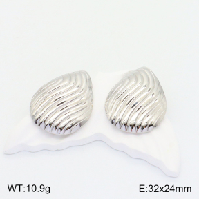 2E2004286aaio-475  Stainless Steel Earrings