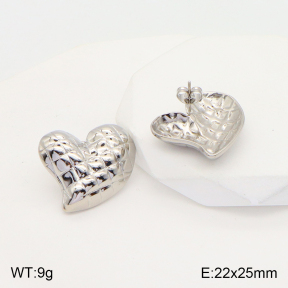 2E2004288aaio-475  Stainless Steel Earrings