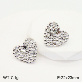 2E2004289aaio-475  Stainless Steel Earrings