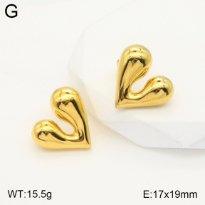 2E2004302vbnb-475  Stainless Steel Earrings