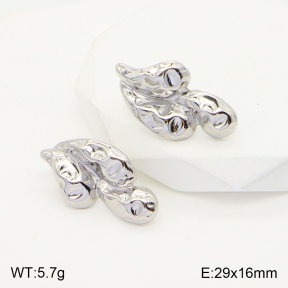 2E2004312aaio-475  Stainless Steel Earrings