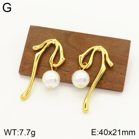 2E3002373bbml-434  Stainless Steel Earrings