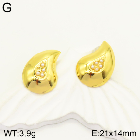 2E3002374vbmb-434  Stainless Steel Earrings