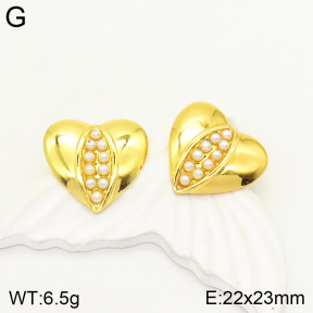 2E3002375bbml-434  Stainless Steel Earrings