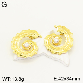 2E3002377bbml-434  Stainless Steel Earrings