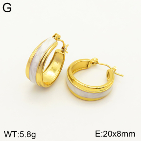 2E3002378bbov-434  Stainless Steel Earrings