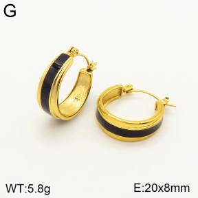 2E3002379bbov-434  Stainless Steel Earrings