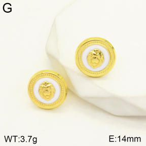 2E3002380aakl-434  Stainless Steel Earrings