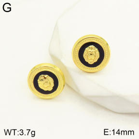 2E3002381aakl-434  Stainless Steel Earrings