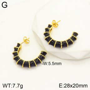 2E3002384vbpb-434  Stainless Steel Earrings