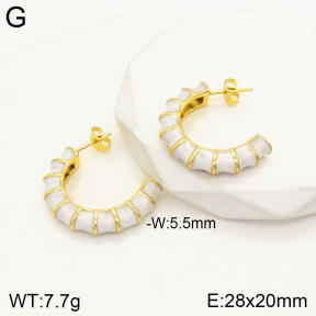 2E3002385vbpb-434  Stainless Steel Earrings