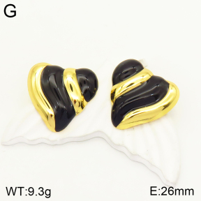 2E3002388vbnb-434  Stainless Steel Earrings