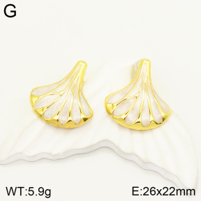 2E3002391vbnb-434  Stainless Steel Earrings