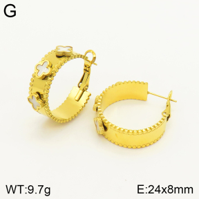 2E3002396bhbl-434  Stainless Steel Earrings