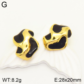 2E3002397bbml-434  Stainless Steel Earrings