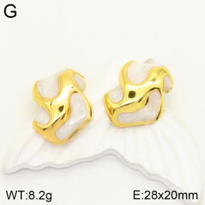 2E3002398bbml-434  Stainless Steel Earrings