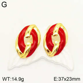 2E3002400vbnb-434  Stainless Steel Earrings