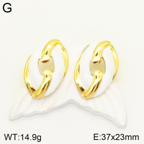 2E3002401vbnb-434  Stainless Steel Earrings