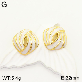 2E3002402bbml-434  Stainless Steel Earrings