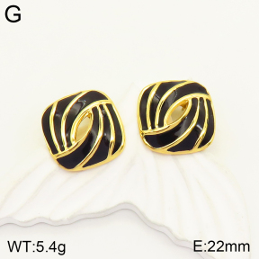 2E3002403bbml-434  Stainless Steel Earrings