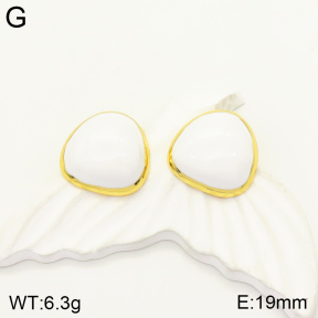 2E3002411bbml-434  Stainless Steel Earrings