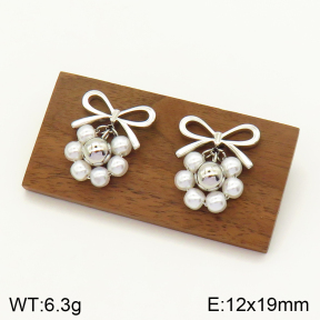 2E3002414vbnb-434  Stainless Steel Earrings