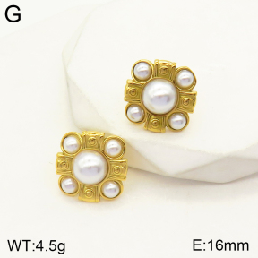 2E3002415vbnb-434  Stainless Steel Earrings