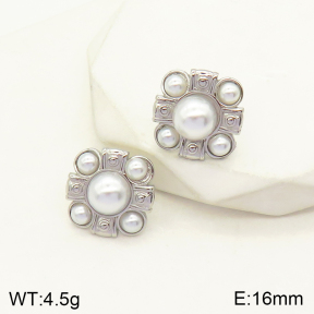 2E3002416bbml-434  Stainless Steel Earrings