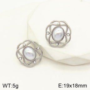 2E3002418vbnb-434  Stainless Steel Earrings