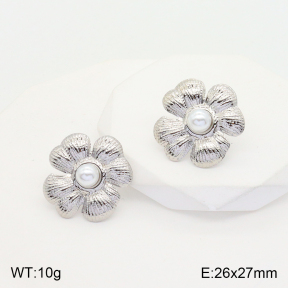 2E3002421aajl-475  Stainless Steel Earrings