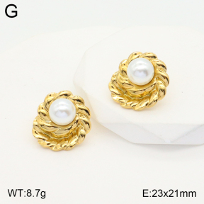 2E3002424aajo-475  Stainless Steel Earrings