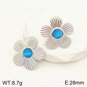 2E4003542vbmb-434  Stainless Steel Earrings