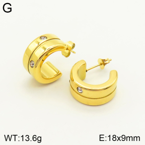 2E4003546vbnl-434  Stainless Steel Earrings