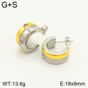 2E4003547vbnl-434  Stainless Steel Earrings