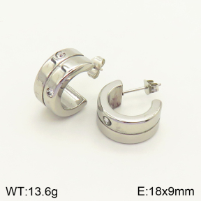 2E4003548vbnb-434  Stainless Steel Earrings