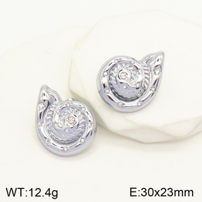 2E4003549abol-434  Stainless Steel Earrings