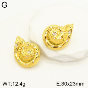 2E4003550abol-434  Stainless Steel Earrings