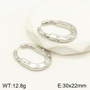 2E4003551bhva-434  Stainless Steel Earrings