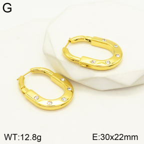 2E4003552bhbl-434  Stainless Steel Earrings