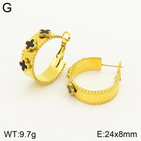 2E4003555bhbl-434  Stainless Steel Earrings