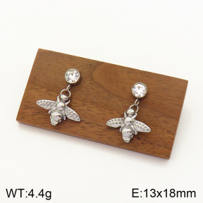 2E4003556aakl-434  Stainless Steel Earrings