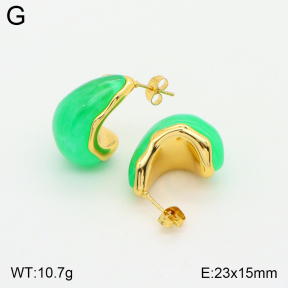 2E4003581bbno-475  Stainless Steel Earrings