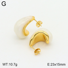 2E4003583bbno-475  Stainless Steel Earrings