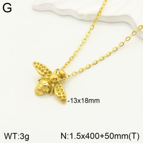 2N2004242aakl-434  Stainless Steel Necklace