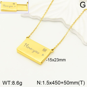 2N2004245bbov-434  Stainless Steel Necklace