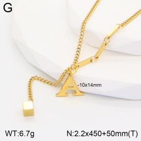 2N2004269aajo-475  Stainless Steel Necklace